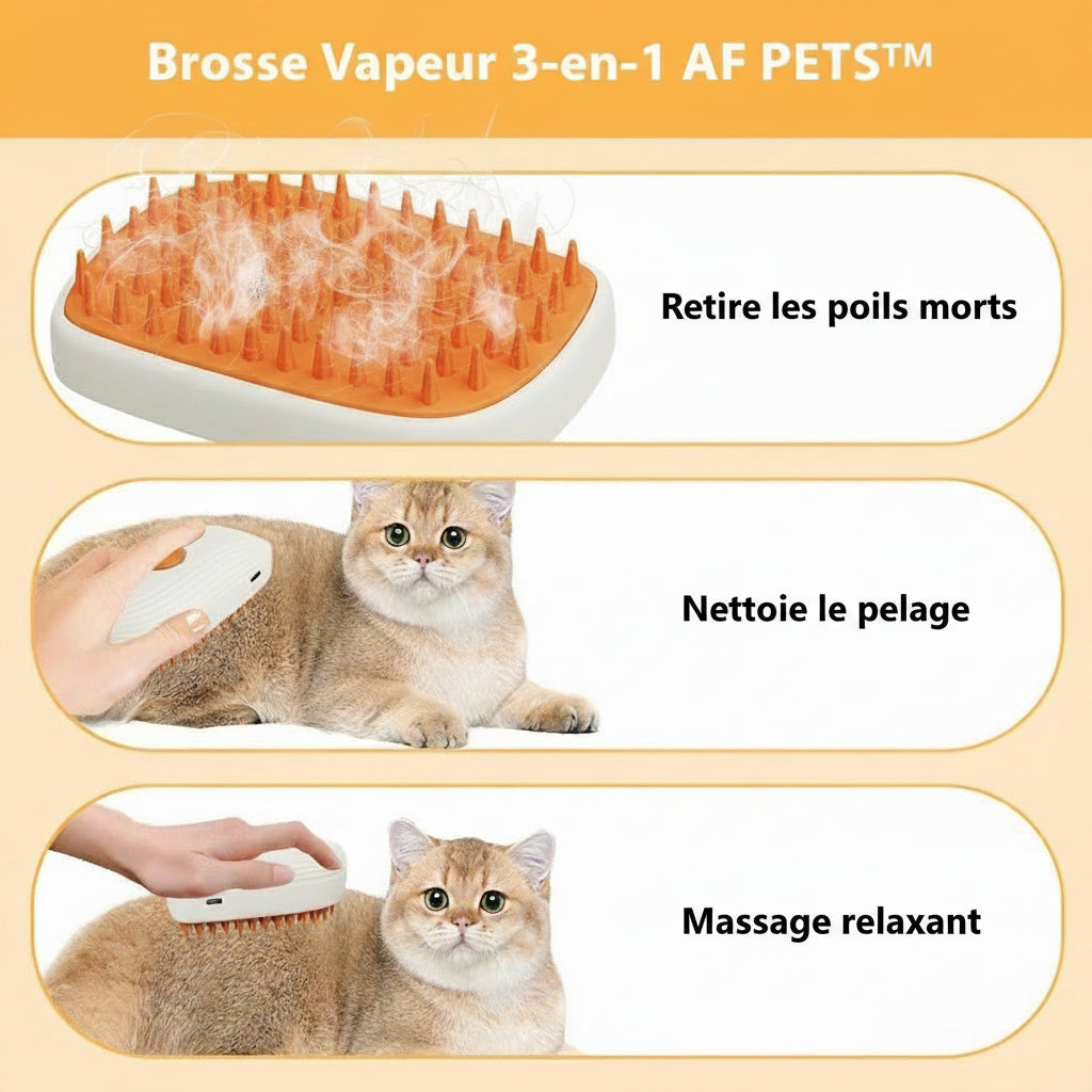 Brosse Vapeur 3-en-1 AF PETS™