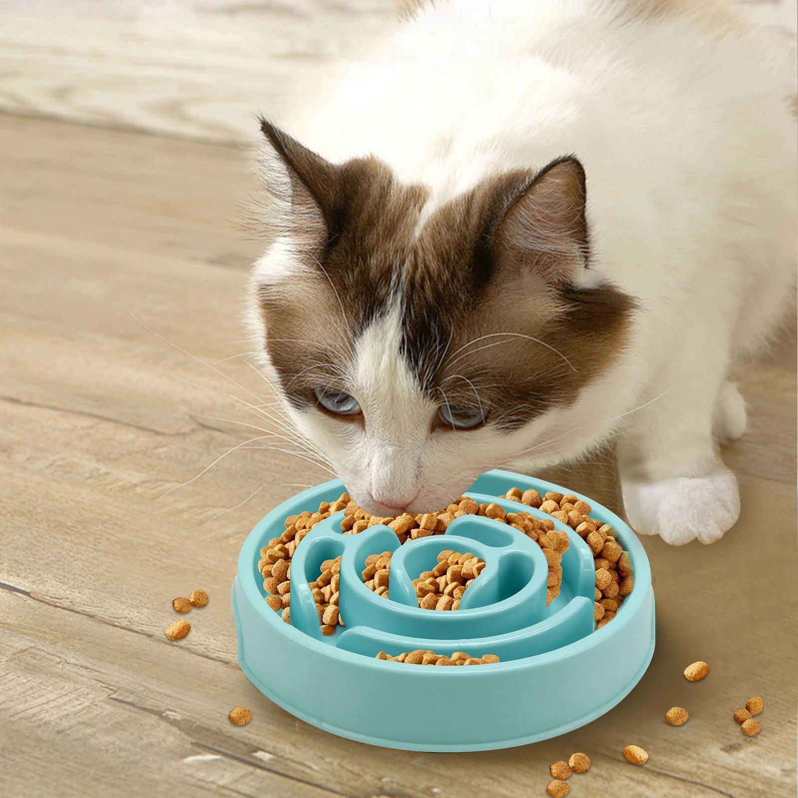 Gamelle anti glouton pour chat 